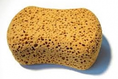 Trypophobia Sponge