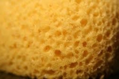 Trypophobia sponge