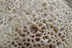 Trypohobic food