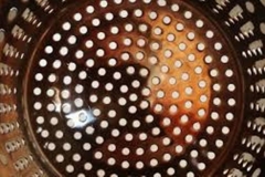 Trypophobic shower head