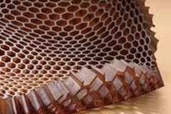 Trypophobia Mat