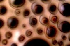 Trypophobia bubbles