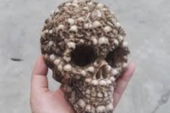 Trypophobic Skull 2