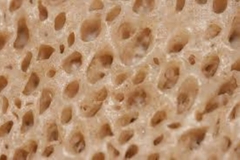 Trypophobia Crumpet