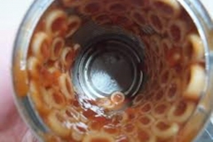 Spaghettio Trypophobia