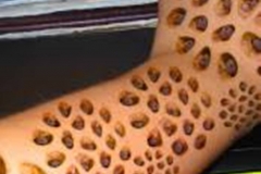 Trypophobic Lotus Pod Skin