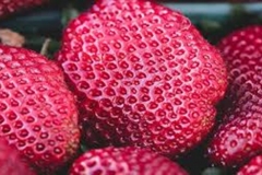 Trypophobic Strawberry
