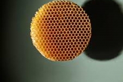 Trypophobic Hive