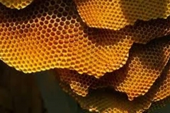 Trypophobia Hexagons