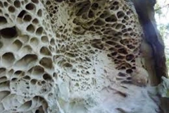 Trypophobic Sandstone