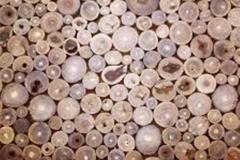 Trypophobic Wood