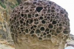 Trypophobia Rock