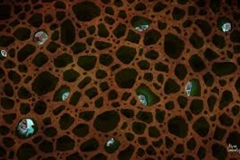 Trypophobia Bubbles