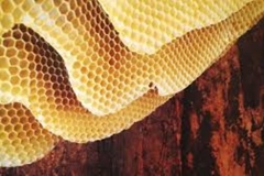 Trypophobic Honeycomb