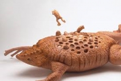 Trypophobic Toad