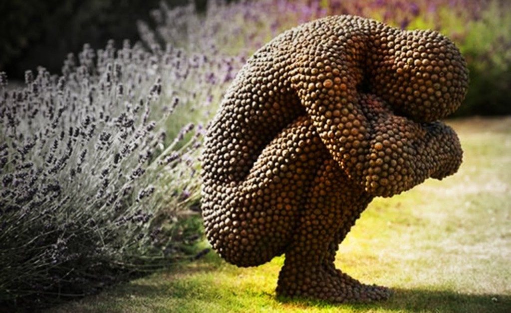 The effects of Trypophobia